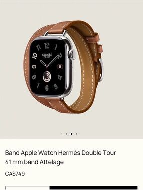 Hermès Double Tour Apple Watch Band in BARENIA, 41, 42, 43 mm cases